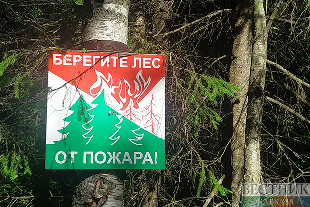 Леса в Геленджике закрыли для посещения