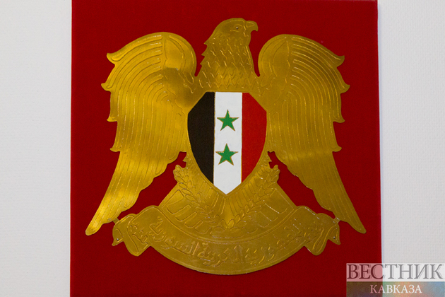 Принято решение о приостановлении членства Сирии в ЛАГ