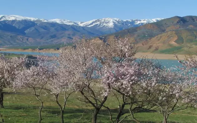 Горы и озеро рядом с Ташкентом: как посетить Чимганские горы и Чарвакское водохранилище