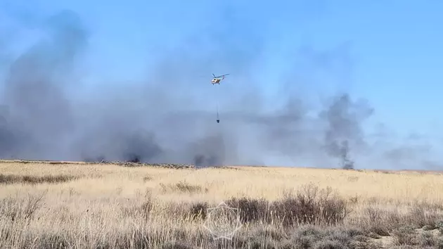 Не только паводки: крупный природный пожар тушат в заповеднике в Казахстане