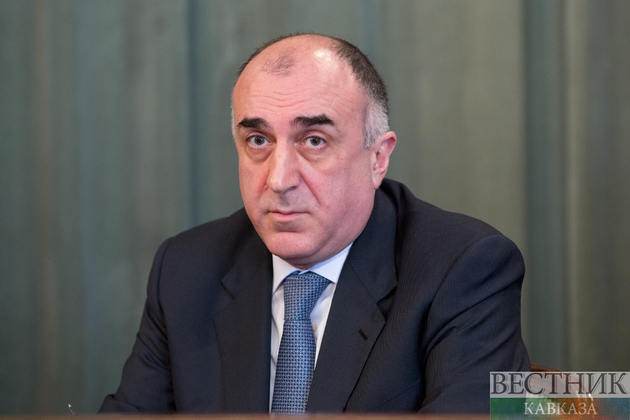 Эльмар Мамедъяров пригласил главу МИД Грузии посетить с визитом Баку