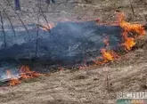 На Северный Кавказ надвигается волна природных пожаров