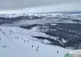 ЧП на подъемнике в Сочи: туристку заподозрили в подделке ски-пасса
