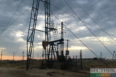 Белорусские нефтяники открыли два месторождения нефти под Гомелем - СМИ