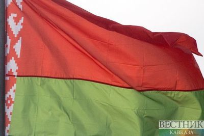 Проживающие в Грузии граждане Беларуси смогут поучаствовать в президентских выборах
