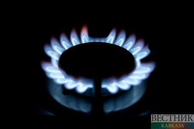 Проект договора о едином рынке газа в ЕАЭС представят в декабре или январе