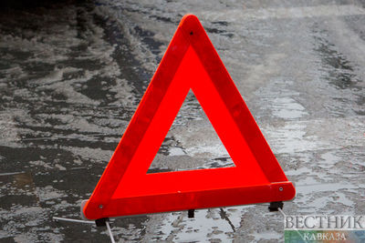 На Ленинградском шоссе под колесами грузовика погибли два пешехода 