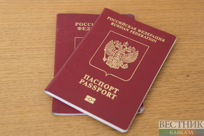 Выдача биометрических загранпаспортов временно приостановлена в России