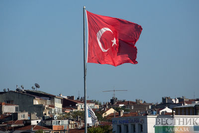Мечта: в Турции оценили шансы Швеции вступить в НАТО