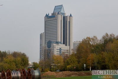 Газпром готов обратиться к частным компаниям в случае отказа Botas от контракта
